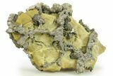 Golden Pyrite on Limonite Clay - Pakistan #283732-1